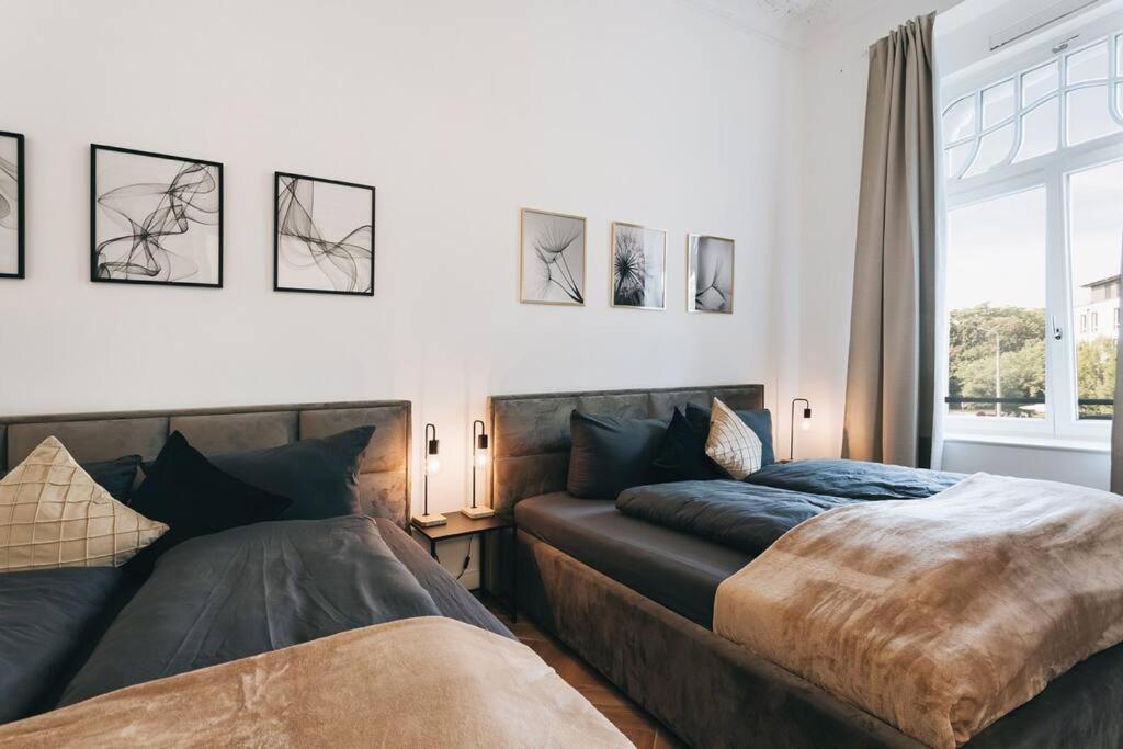Tip! Design-Apartment In Toplage 75Qm In Szeneviertel Dresden Buitenkant foto